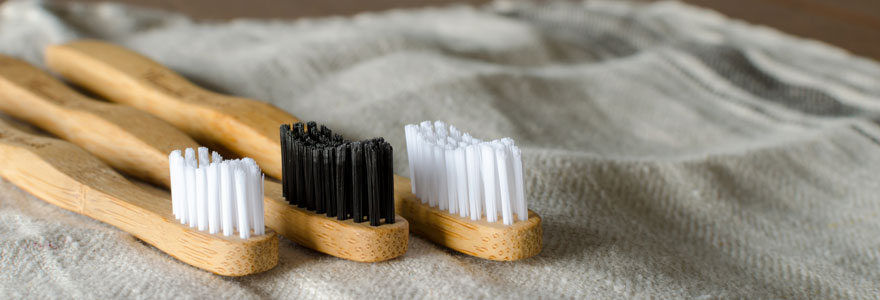 Brosse à dent écologique